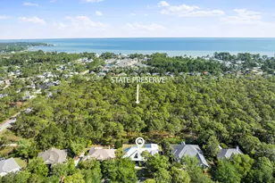 151 Botany Blvd, Santa Rosa Beach, FL 32459 - Photo 2