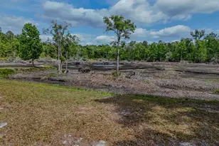 2474 Tiller Cemetery Dr, Chipley, FL 32428 - Photo 62