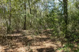 Lot B 67 Acres Walton Rd, Defuniak Springs, FL 32433 - Photo 4