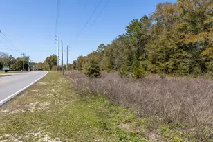 Lot C 63 Acres On Walton Rd, Defuniak Springs, FL 32433 - Photo 6