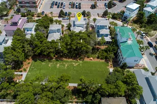 87 Cobia Run, Inlet Beach, FL 32461 - Photo 10