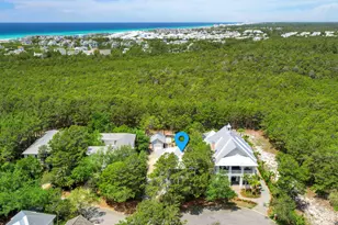 123 Chance Ln, Inlet Beach, FL 32461 - Photo 76