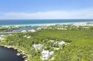 123 Chance Ln, Inlet Beach, FL 32461 - Photo 80