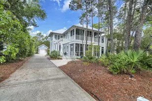 123 Chance Ln, Inlet Beach, FL 32461 - Photo 58