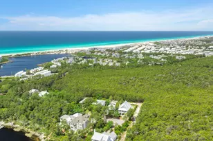 123 Chance Ln, Inlet Beach, FL 32461 - Photo 88