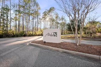 142 Montclair Avenue, Santa Rosa Beach, FL 32459 - Photo 48