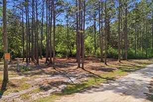 Lot 3 Elise St, Santa Rosa Beach, FL 32459 - Photo 1