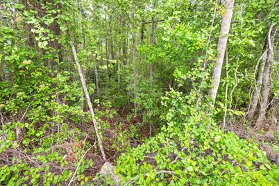 . Sam Carver Road, Crestview, FL 32536 - Photo 26