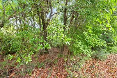 . Sam Carver Road, Crestview, FL 32536 - Photo 24