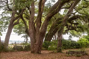 14332 Florida 20, Freeport, FL 32439 - Photo 20