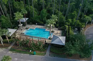 27 Sweet Gum Loop, Inlet Beach, FL 32461 - Photo 48