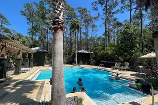 27 Sweet Gum Loop, Inlet Beach, FL 32461 - Photo 46