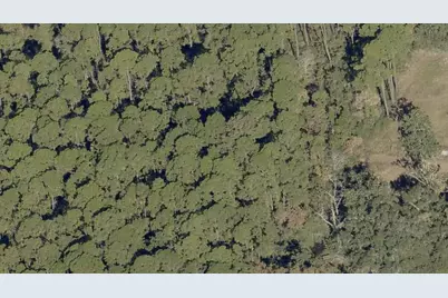 Lot 7 N 14th Street, Santa Rosa Beach, FL 32459 - Photo 2