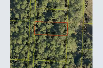 Lot 7 N 14th Street, Santa Rosa Beach, FL 32459 - Photo 1