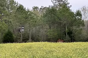 6935 Beau Chene Ln, Florala, AL 36442 - Photo 44