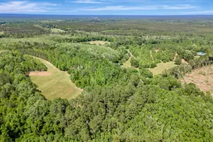 6935 Beau Chene Ln, Florala, AL 36442 - Photo 42