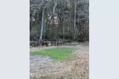 6935 Beau Chene Lane, Florala, AL 36442 - Photo 58