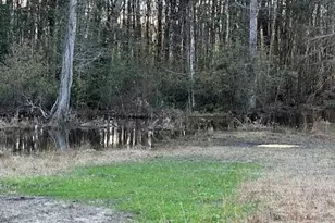 6935 Beau Chene Ln, Florala, AL 36442 - Photo 58