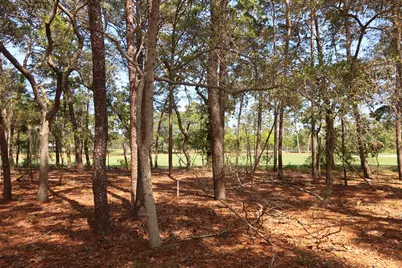 1626 Lost Cove Lane, Panama City Beach, FL 32413 - Photo 4