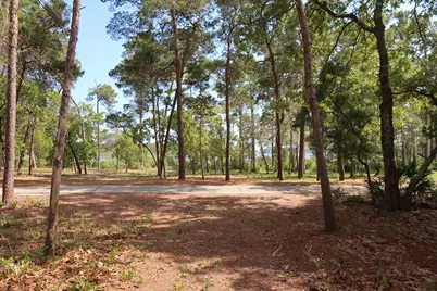22600 Turtleback Lane, Panama City Beach, FL 32413 - Photo 6