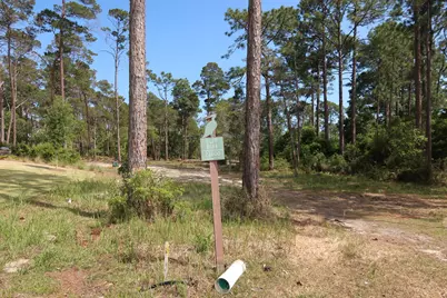22600 Turtleback Lane, Panama City Beach, FL 32413 - Photo 2