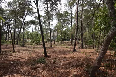 22600 Turtleback Lane, Panama City Beach, FL 32413 - Photo 8