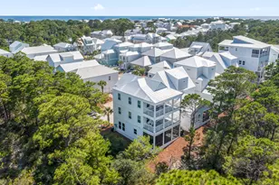 59 Conscience Way, Santa Rosa Beach, FL 32459 - Photo 38