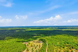 175 W T Hulion Rd, Crestview, FL 32539 - Photo 60
