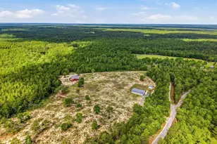 175 W T Hulion Rd, Crestview, FL 32539 - Photo 60
