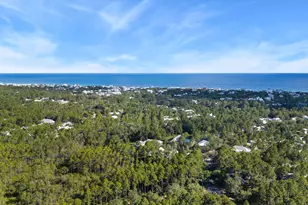202 Climbing Rose Way Way, Santa Rosa Beach, FL 32459 - Photo 18