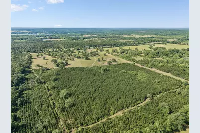 1205 Orange Hill Road, Chipley, FL 32428 - Photo 8