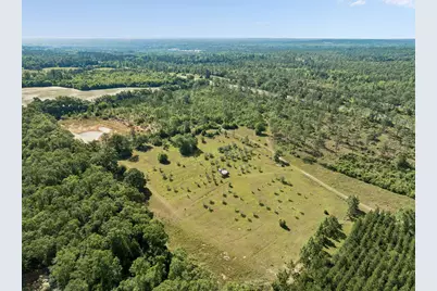 1205 Orange Hill Road, Chipley, FL 32428 - Photo 12