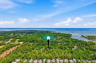 168 Nancy Claire Ln, Santa Rosa Beach, FL 32459 - Photo 46