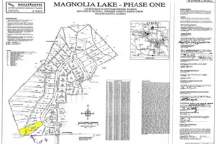 Lot 4 Magnolia Lake Dr, Defuniak Springs, FL 32433 - Photo 1