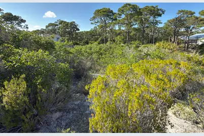 105 Sand Trace Drive, Cape San Blas, FL 32456 - Photo 8