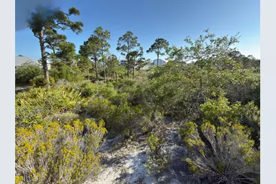 105 Sand Trace Drive, Cape San Blas, FL 32456 - Photo 6