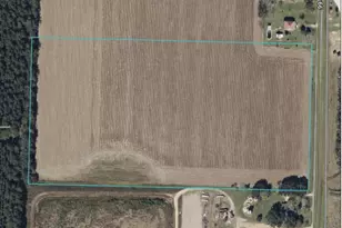 641 S Hwy 99, Walnut Hill, FL 32568 - Photo 1