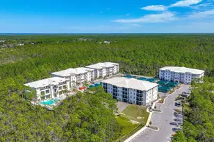291 S County Hwy 393, Santa Rosa Beach, FL 32459 - Photo 10
