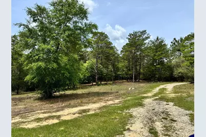 994 O'Sage Drive, Defuniak Springs, FL 32433 - Photo 4
