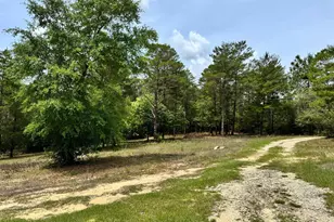 994 O'Sage Dr, Defuniak Springs, FL 32433 - Photo 4