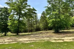 994 O'Sage Dr, Defuniak Springs, FL 32433 - Photo 1