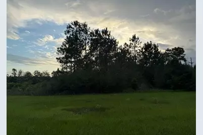 2.49 Acres W Co Hwy 147, Paxton, FL 32538 - Photo 2