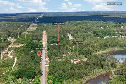 158 W Violet Lane, Defuniak Springs, FL 32433 - Photo 30