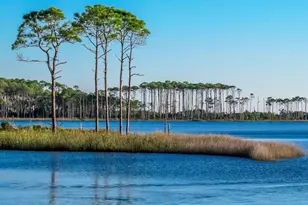 54 Mountain Top Dune Dr, Santa Rosa Beach, FL 32459 - Photo 58