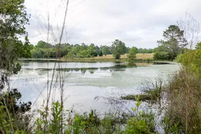 405 Walden Lane, Laurel Hill, FL 32567 - Photo 12