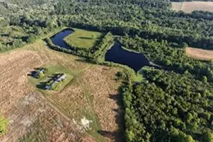 405 Walden Ln, Laurel Hill, FL 32567 - Photo 4