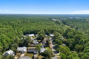 235 Magnolia Creek Rd, Santa Rosa Beach, FL 32459 - Photo 48