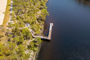64 Heartwood St, Inlet Beach, FL 32461 - Photo 68
