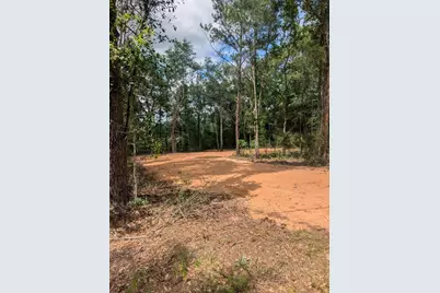 Lot 4 Dogwood Lakes Estates, Bonifay, FL 32425 - Photo 12