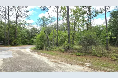 0 Fox Court, Chipley, FL 32428 - Photo 2